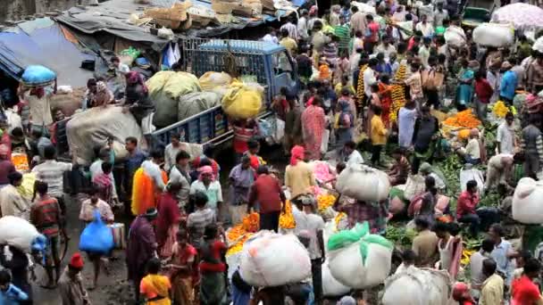 Mullikghat-Blumenmarkt — Stockvideo