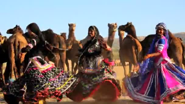 Traditionelle Tänzerinnen aus Rajasthan — Stockvideo