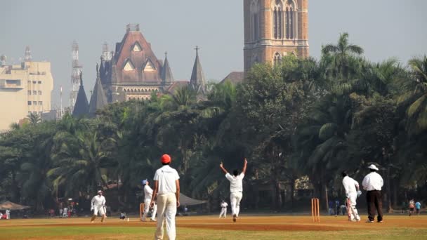 Equipo de jugadores de cricket jugando un partido de cricket — Vídeo de stock