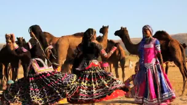 Rajasthan bailarinas tradicionales — Vídeo de stock