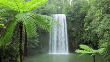 Millaa Millaa Falls, Atherton Tablelands Queensland