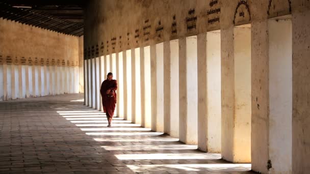 Monk  in Walkway to Shwezigon Pagoda — Stock Video