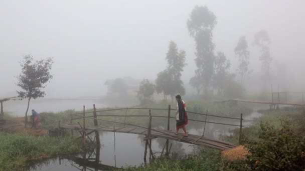 Lokale man lopen voet brug — Stockvideo