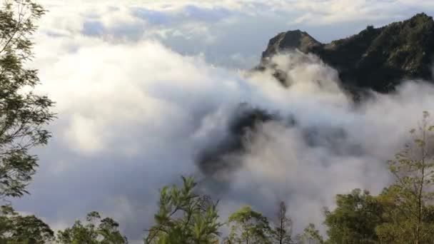 Berg wolken aan de kust Santo Antao — Stockvideo