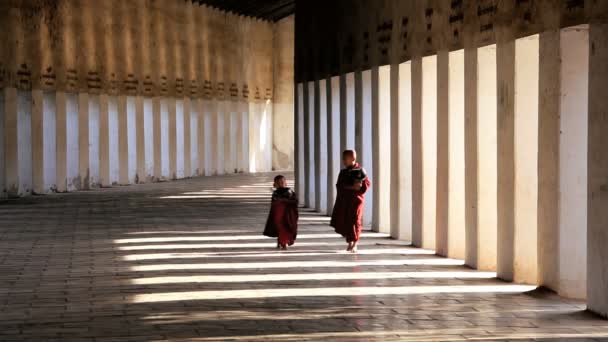 Monges noviços em roupas tradicionais — Vídeo de Stock