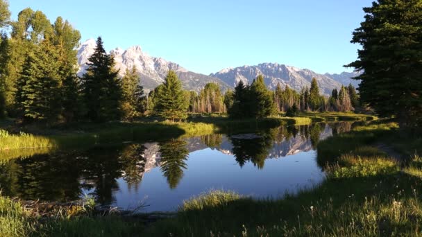 Doğada sakin gölet Güzellik — Stok video