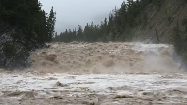 Eau d'inondation en cascade le long d'une rivière de montagne gonflée 