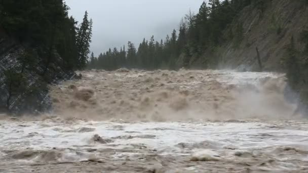 Overstroming water trapsgewijs naar beneden gezwollen berg rivier — Stockvideo