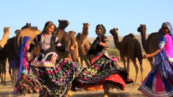 Rajasthan női hagyományos táncosok — Stock videók