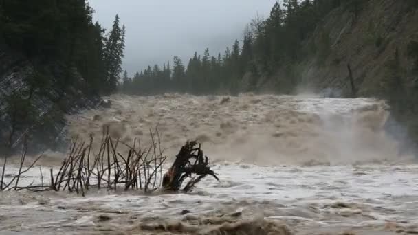 Flood water cascading down swollen mountain river — Stock Video