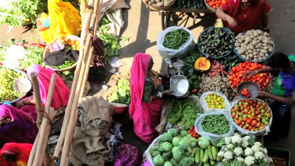 Busy vegetable market — Stock Video