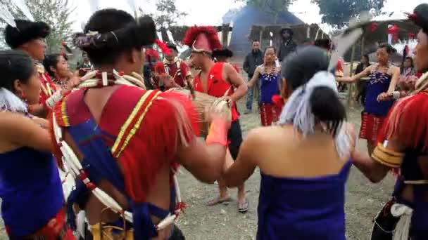 Stammesangehörige des Ao-Stammes tanzen beim Tribal Hornbill Festival — Stockvideo