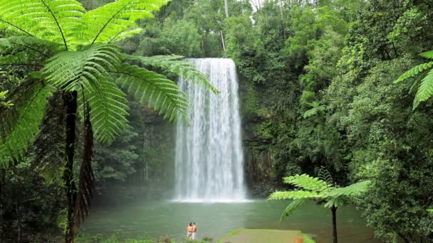 Millaa Millaa Falls, Atherton Tablelands Queensland — Stok video