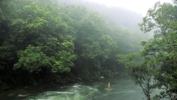 熱帯雨林、モスマン渓谷、クイーンズランド州 — ストック動画