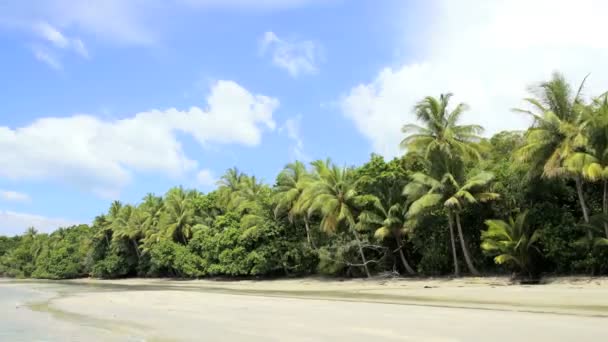 Tropická pláž Cape Tribulation — Stock video