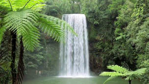 拉米拉拉米拉瀑布，阿瑟顿高地，高出昆士兰州 — 图库视频影像