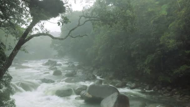 高速流れる川の熱帯雨林で霧の中で雨します。 — ストック動画