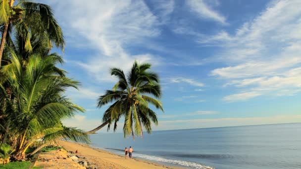 Paseando por la playa de Holloways — Vídeos de Stock