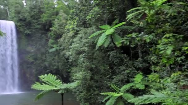 Millaa Millaa Falls Atherton Tablelands Queensland — Stock video