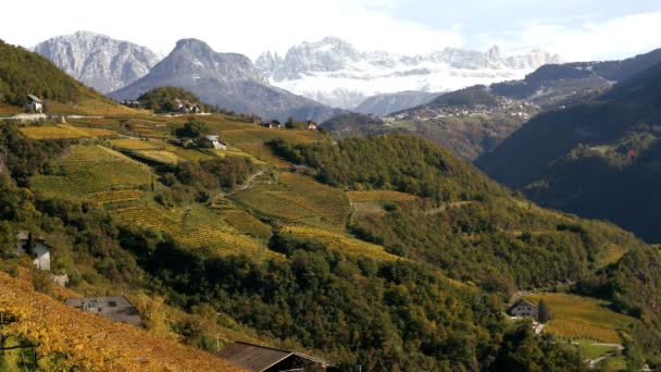 Wolken ziehen über die ländlichen Weinberge — Stockvideo