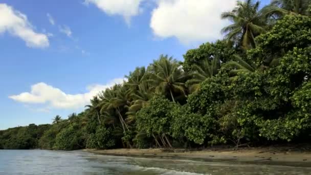 Тропический пляж Мыс Скорби — стоковое видео