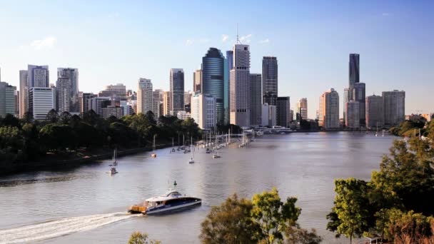 Río Brisbane y horizonte de la ciudad — Vídeo de stock