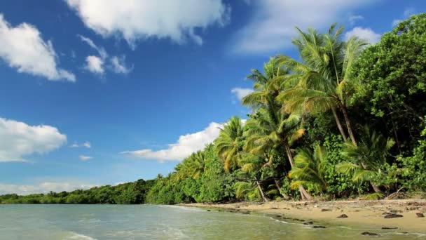 Praia tropical, Cape Tribulation, Queensland, Austrália — Vídeo de Stock