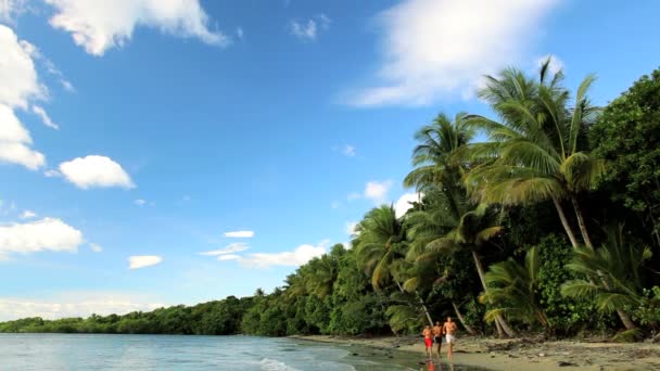 Gente corriendo en una playa tropical, Queensland, Australia — Vídeos de Stock