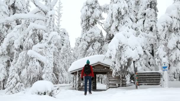 进入雪冰冻的云杉的男性沃克 — 图库视频影像