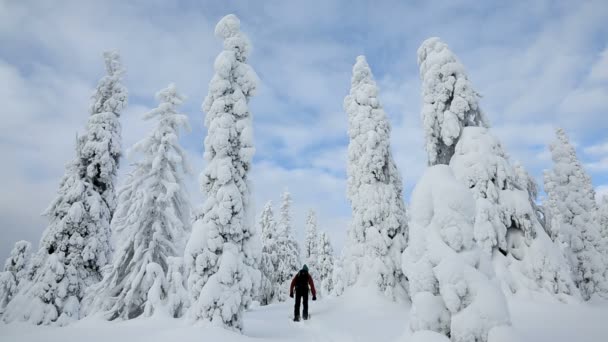 Férfi walker visel hó cipő — Stock videók