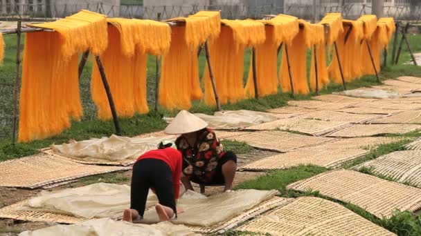 Natural drying by sunlight Mien Noodles — Stock Video