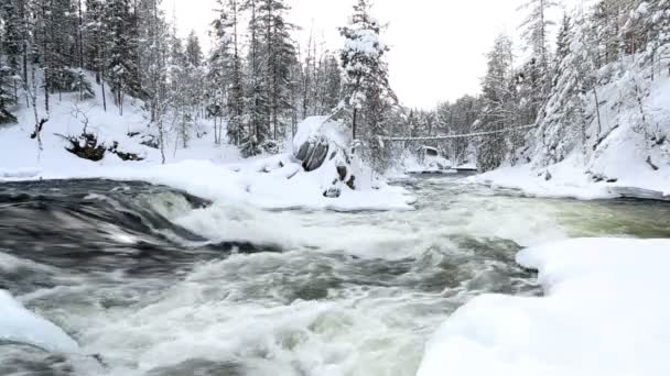 Быстрая река в зимний снег — стоковое видео