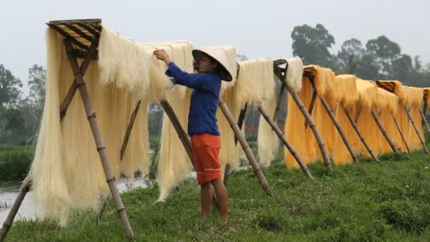 Women drying sheets of Mien Noodles — Stock Video