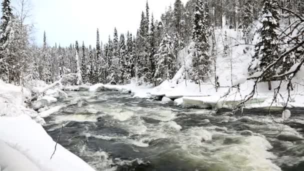 快速流动的河流，在冬天的雪 — 图库视频影像