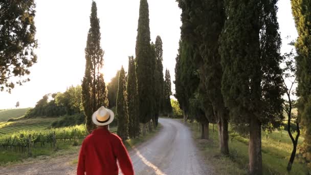 Man wandelen langs de Italiaanse cipressen — Stockvideo