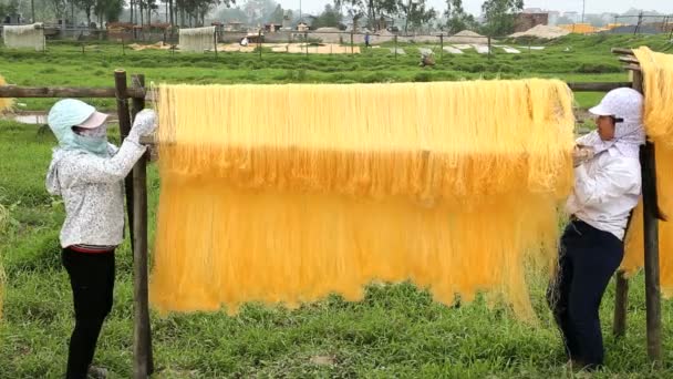 Hojas de secado de fideos Mien para mujer — Vídeos de Stock