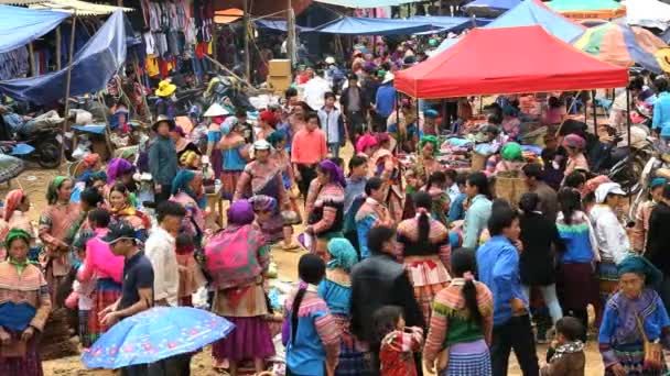 Kleurrijke traditionele kleding bloem Hmong hill — Stockvideo