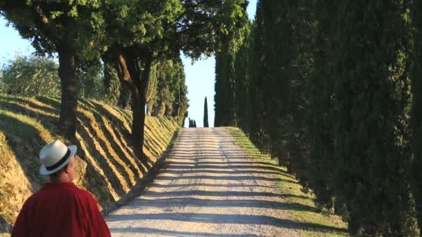 Male walking in summer time — Stock Video