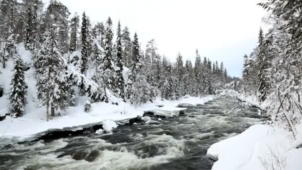 Rio que flui rápido na neve de inverno — Vídeo de Stock