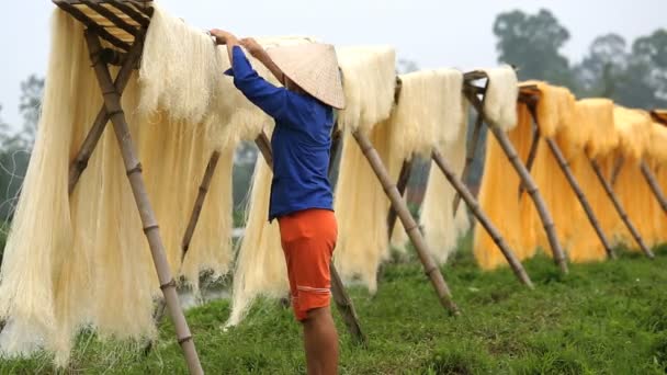 Women drying sheets of Mien Noodles — Stock Video