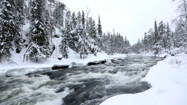 Schnell fließender Fluss im Winter — Stockvideo