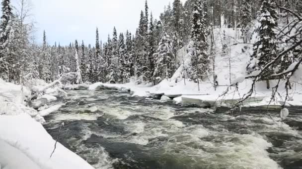 Fast flowing river and winter snow — Stock Video