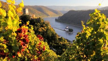 Bağ kale Gutenfels Pfalzgrafenstein kalıntıları ile doğal