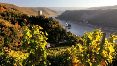 Bağ kale Gutenfels Pfalzgrafenstein kalıntıları ile doğal