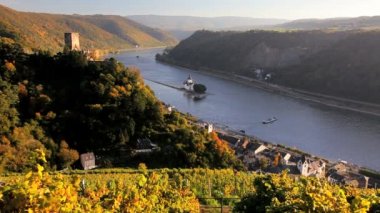 Bağ kale Gutenfels Pfalzgrafenstein kalıntıları ile doğal