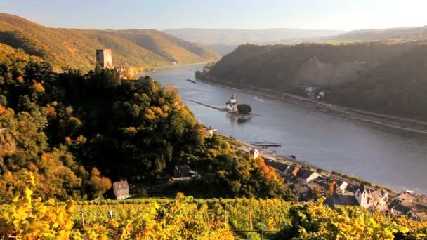 Vigneto panoramico con le rovine del Castello Gutenfels Pfalzgrafenstein — Video Stock