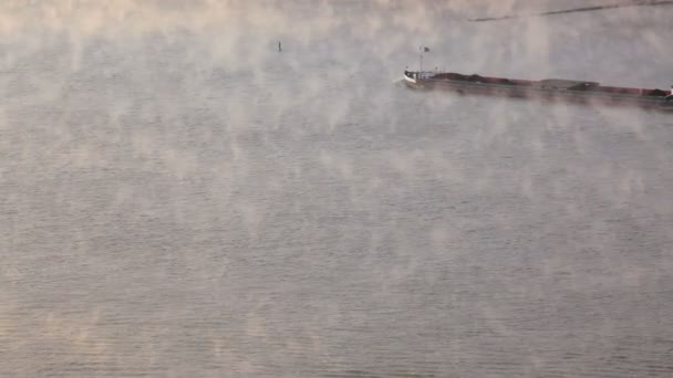 Stora frakt tanker resa på floden Rhen — Stockvideo