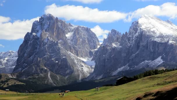 Ходоки на альпийском лугу, Италия — стоковое видео