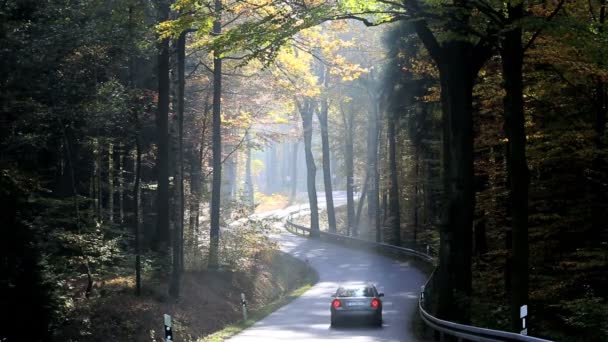 Alemania bosque de otoño árboles carretera vehículo conducción — Vídeos de Stock