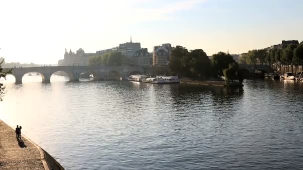 Francia París Río Sena IIe de la Citie barco construcción de viajes — Vídeos de Stock